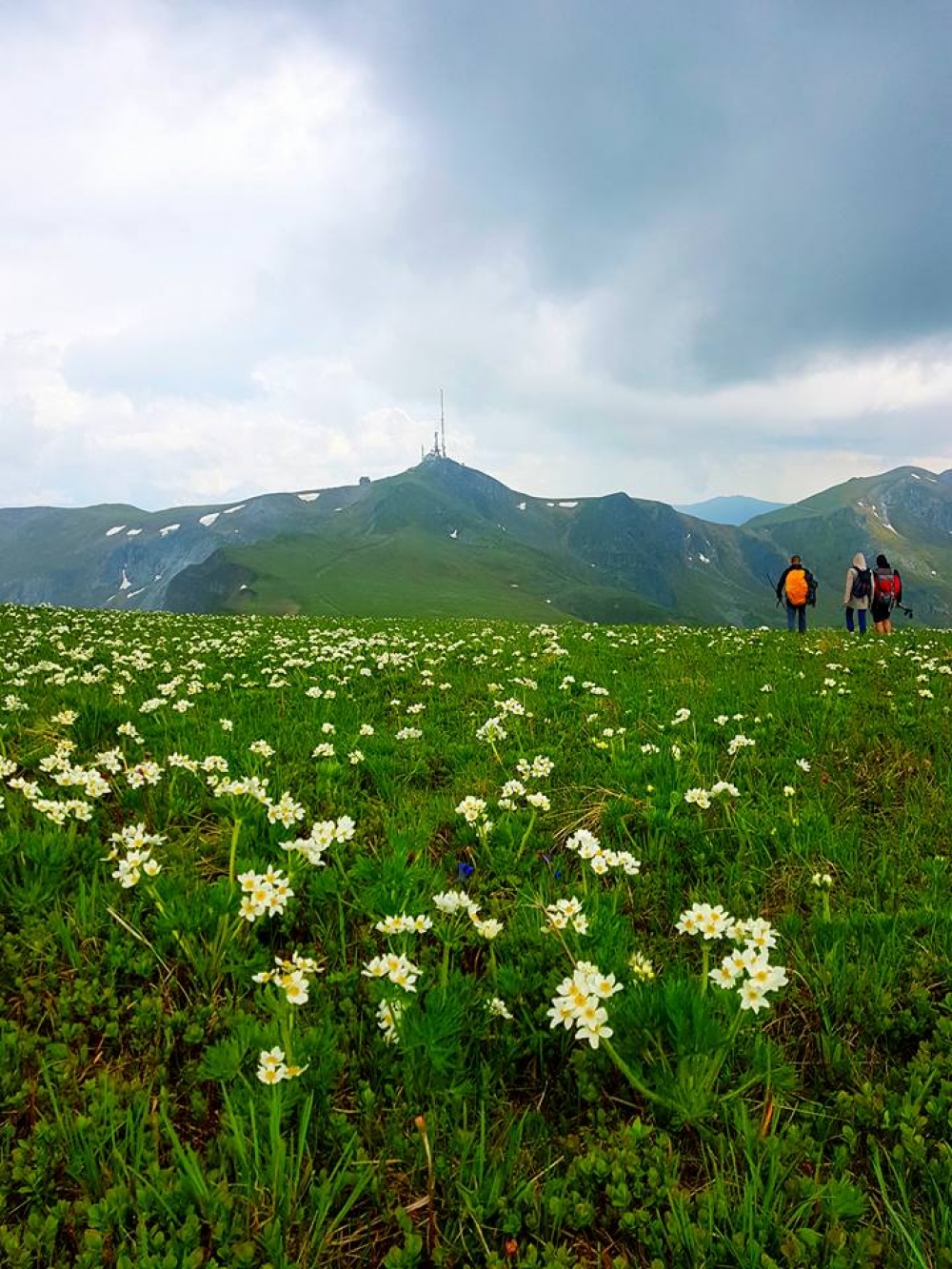 TURISTIČKA AGENCIJA BALKANIKA 