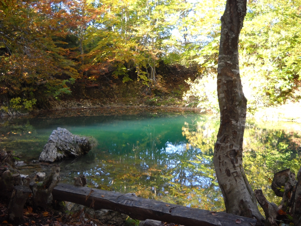 TURISTIČKA AGENCIJA BALKANIKA 